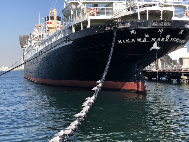 氷川丸_日本郵船氷川丸