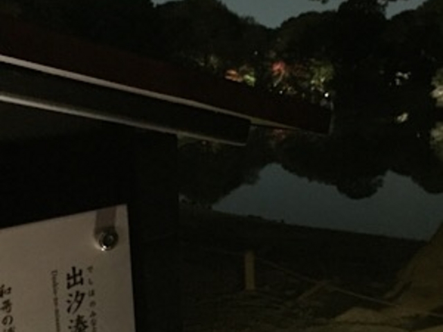 夜の光景です。_六義園 出汐の湊