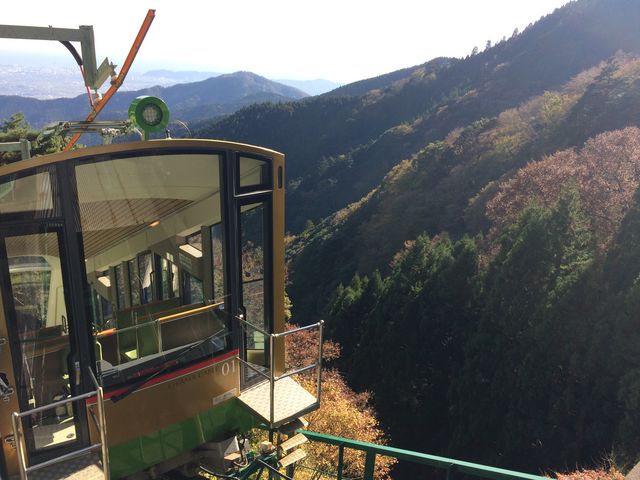 まずはケーブルカーで_大山の原生林