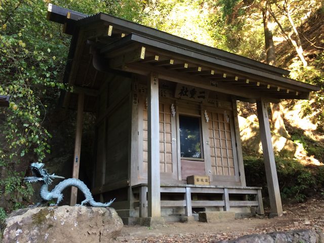 原生林内のお宮_大山の原生林