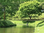 おじさん111さんの清水公園の投稿写真1