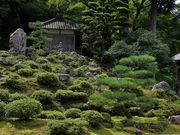 Yanwenliさんの萬徳寺庭園の投稿写真4