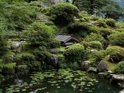 Yanwenliさんの萬徳寺庭園の投稿写真5