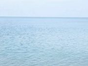 おじさん111さんの江の島海岸の投稿写真1