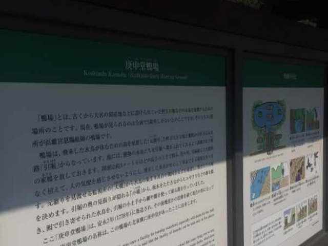 説明板です。_鴨場(浜離宮恩賜庭園)