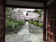 ikwssmさんの本法寺の投稿写真1