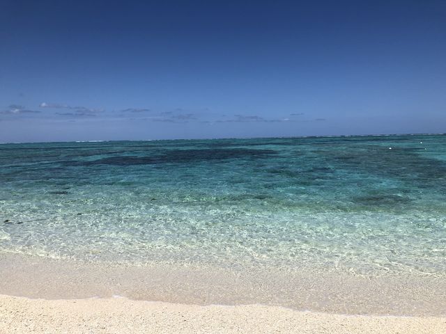 美しい海と白い砂浜_株式会社とかしき