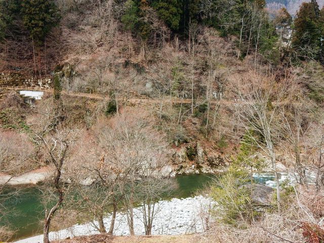 w-masaさんの藤波八丁の投稿写真2