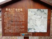 w-masaさんの藤波八丁遊歩道の投稿写真1