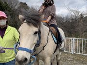 つきのさんの乗馬クラブ アイルの投稿写真1