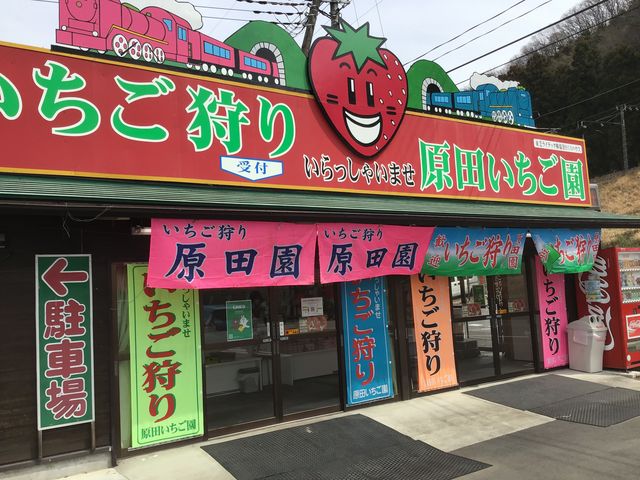 此方は ハラダさん。_樽観光いちご組合