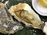 こたろうさんの宮島の投稿写真2