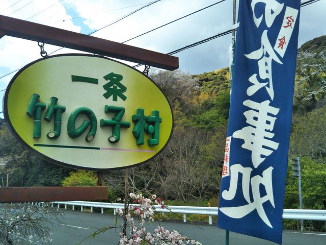 『一条竹の子村』。_一条竹の子村