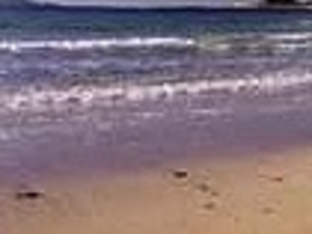 青島_青島