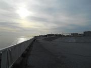 ま〜ぼ〜さんの高洲海浜公園の投稿写真2