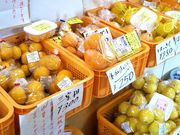 usaさんの河津桜観光交流館の投稿写真1