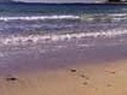 フルスピードさんの青島の投稿写真1