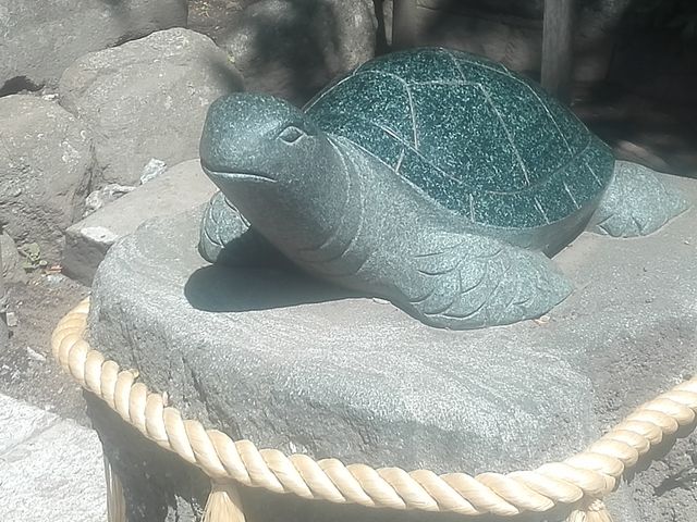 ご利益がありますように。
_酒列磯前神社および酒列磯前神社の樹叢