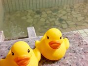 パウダーベアーさんの小金湯温泉の投稿写真1