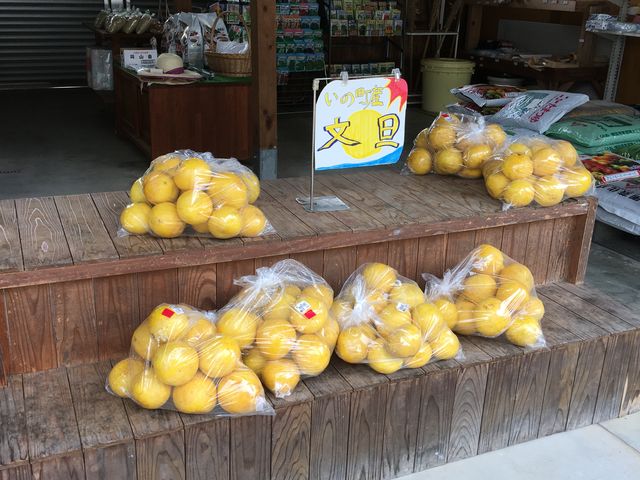 文旦。訪れたお客さんが次々に買い求められてました。_水辺の駅あいの里仁淀川