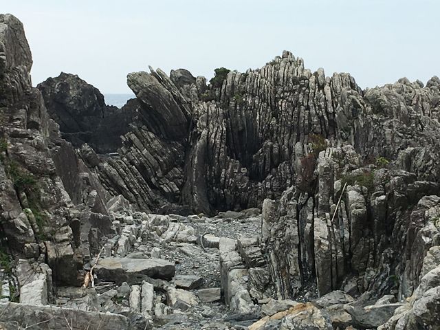 乱礁遊歩 しましまの地層_乱礁遊歩道