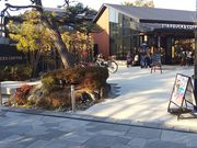 ぱぱがんばれさんのスターバックスコーヒー京都宇治平等院表参道店の投稿写真1