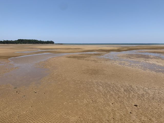 干潮の時間帯の写真_潟原の干潟