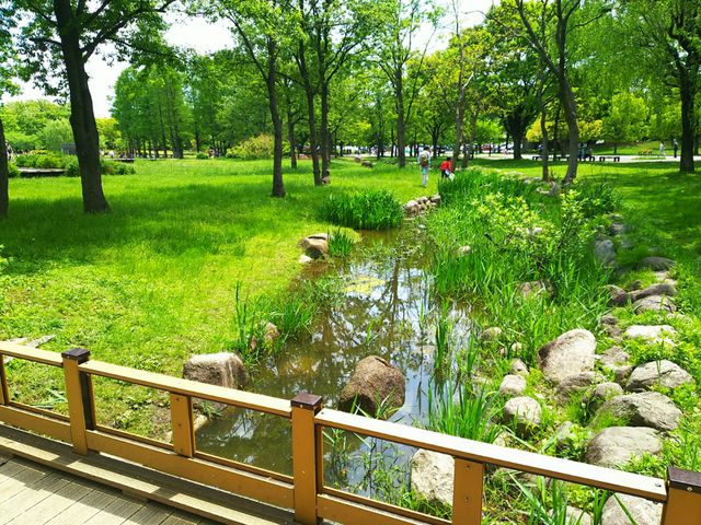 ザリガニ釣りが楽しめる小川。_舎人公園