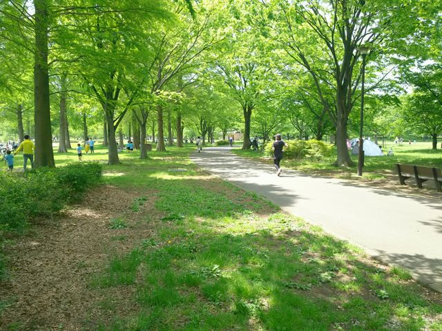 木陰が涼しい散歩道。_舎人公園