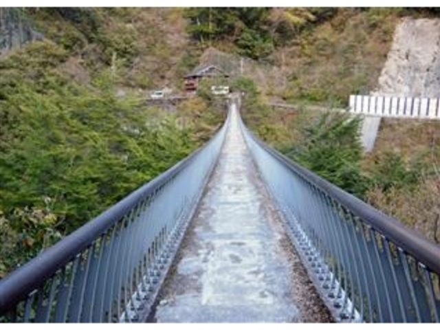 奥から見た「梅の木轟公園吊橋」_梅の木轟の吊り橋