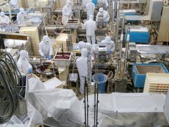 桔梗信玄餅工場テーマパークの写真1