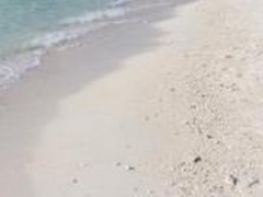 ゴエモンさんのハテの浜への投稿写真1