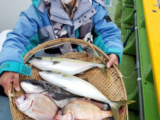 夫婦二人には大漁(大量)_つり船 ちがさき丸