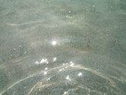 moruさんの袖ケ浜海水浴場の投稿写真1
