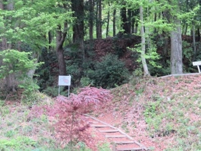 キヨさんの額田城跡の投稿写真2