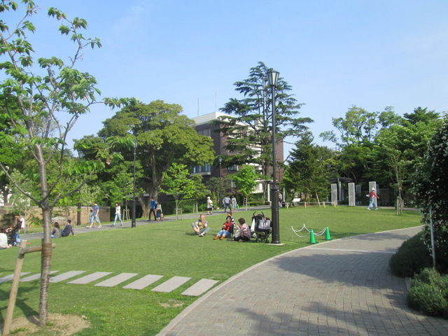 清々しい_アメリカ山公園