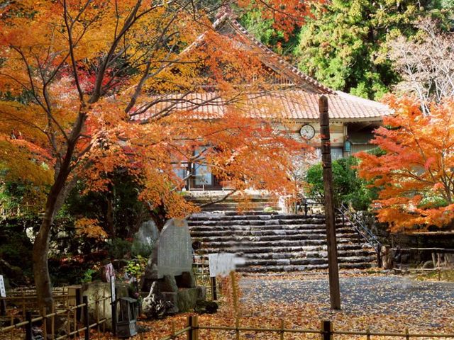 本堂 紅葉の様子_聖宝寺