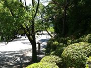 unariさんの高知公園の投稿写真1