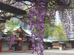 日枝神社の写真1