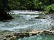 tukaさんの鹿の湯の投稿写真1