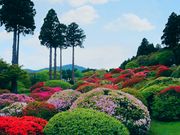 ゆばなゆきゆきさんの山のホテル庭園の投稿写真4