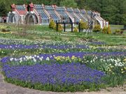 たかちゃんさんの香りの里ハーブガーデンの投稿写真3