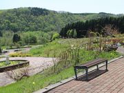 たかちゃんさんの香りの里ハーブガーデンの投稿写真5