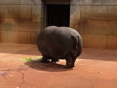 東山動植物園の写真1