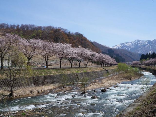 だいちゃんさんの湯沢中央公園の投稿写真1
