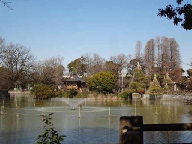 大きな池があります_碑文谷公園