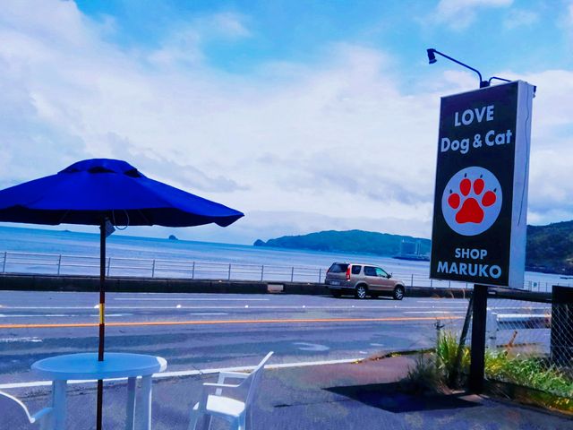 目の前が海!_ペットスペース MARUKO