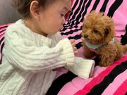 みくっちさんのペットスペース MARUKOの投稿写真7