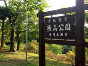 レナさんの西山公園の投稿写真1