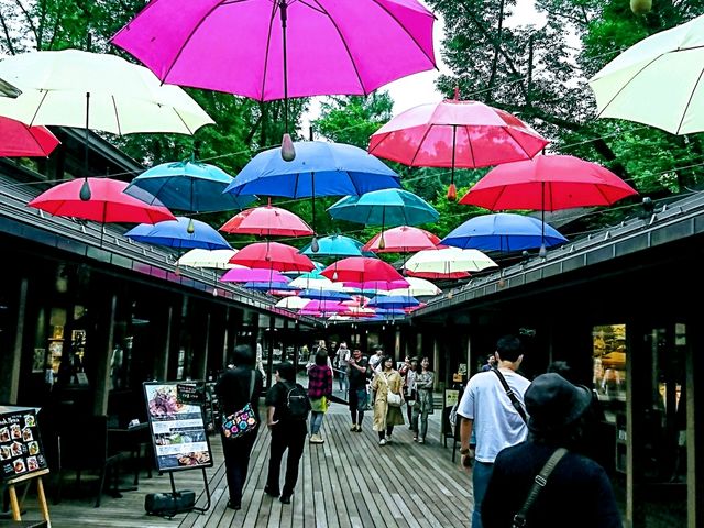 色とりどりの傘_軽井沢星野エリア ハルニレテラス